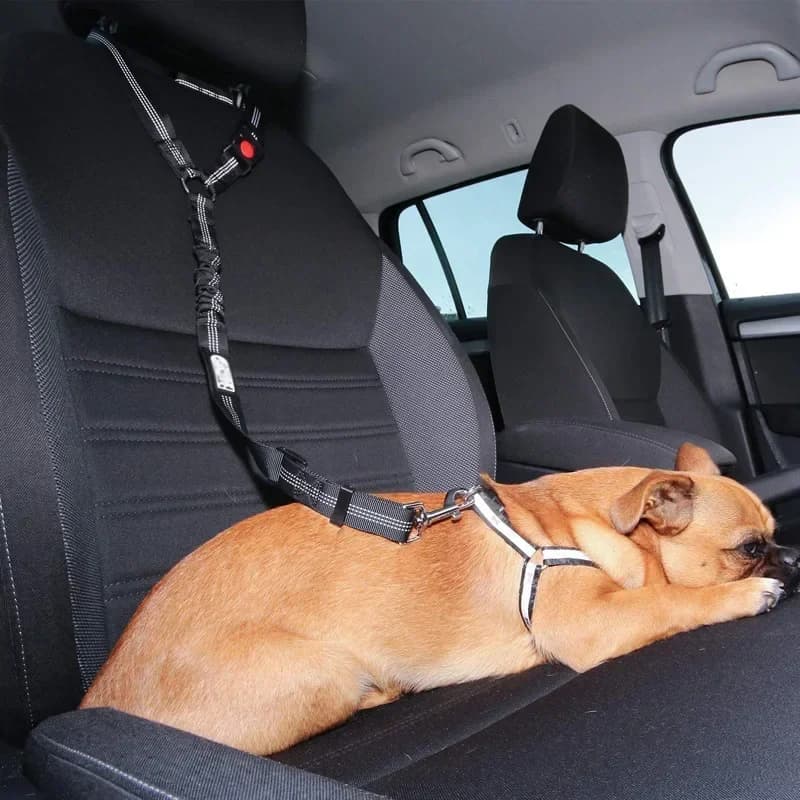 Forniture per animali domestici Cintura di sicurezza per auto Cintura di sicurezza per cani Cintura per guinzaglio per auto per cani Ammortizzazione regolabile Cinghia da viaggio elastica Guinzaglio di sicurezza Corda f