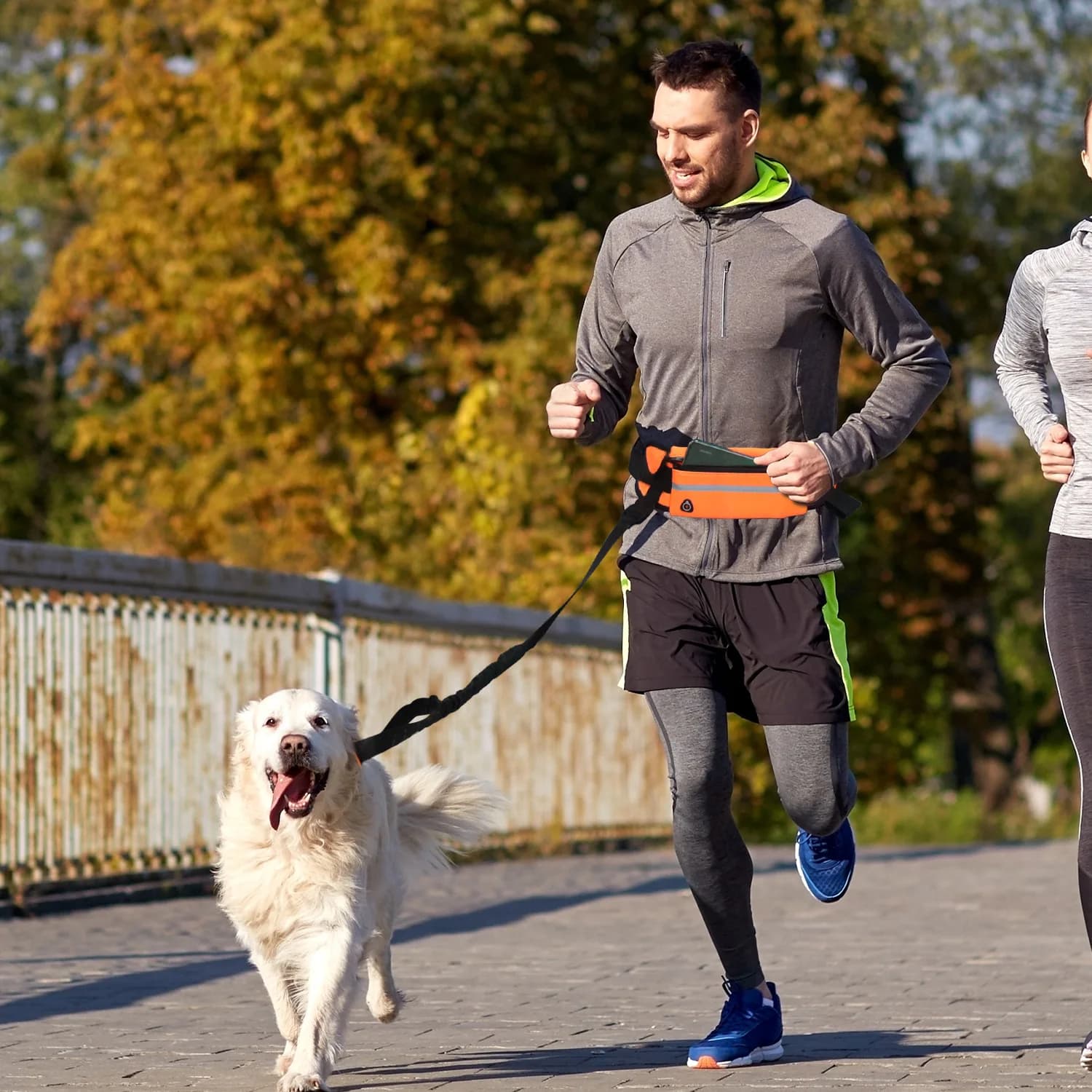 Leash for Free Hand Dogs, Reflective, with Belt Bag, Adjustable Elastic Belt, Race Resistant Traction Corda