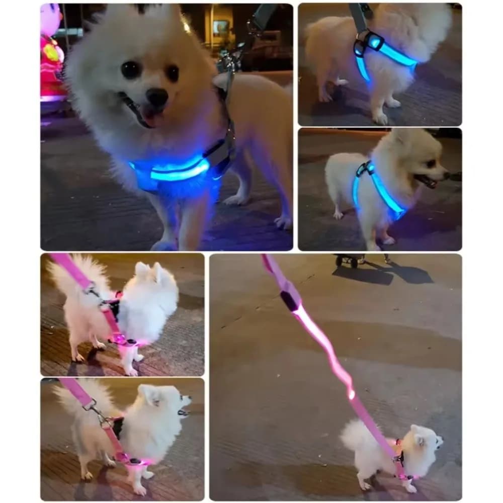 Pettorina per Cani LED Luminosa Ricaricabile, Regolabile, Morbida, Lampeggiante, Gilet Luminoso per la Sicurezza degli Animali Domestici