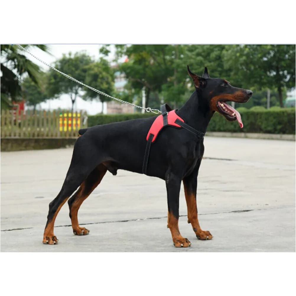 Dog Harness Saddle Style Red Oxford Cloth for Medium Large Dogs Comfortable Neck Free Design Quick Release Buckle Allows Running