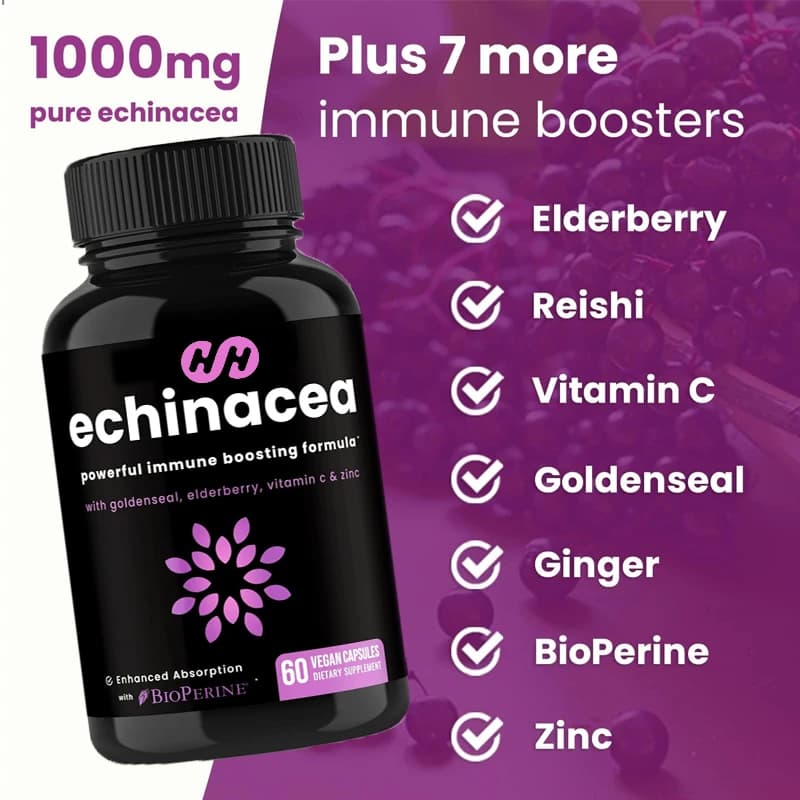 Equinacea extract Sambuco, Ganoderma Lucidum biological, ginger, vitamin C and zinc Immune system Improvement of health capsules