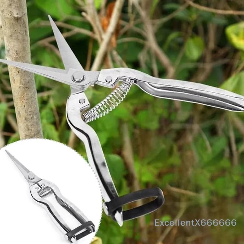 Pruning Shears Stainless Steel Sharp Gardening Scissors Ergonomic Non-slip Handle for Fruit Picking Bonsai Yard Care