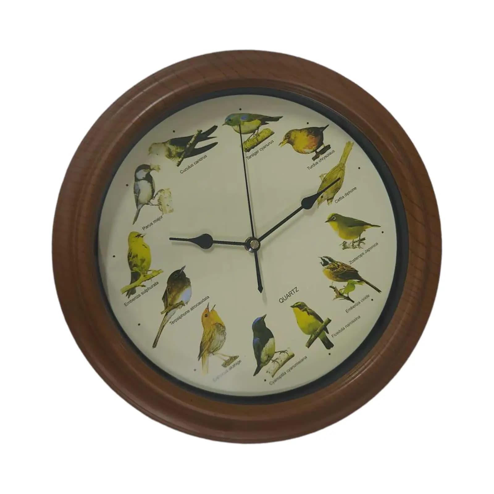 Orologio da parete Orologio da parete per uccelli che canta da 10 pollici Orologio rotondo moderno e robusto Sveglia per uccelli per riunioni di camera da letto Decorazioni per la cucina