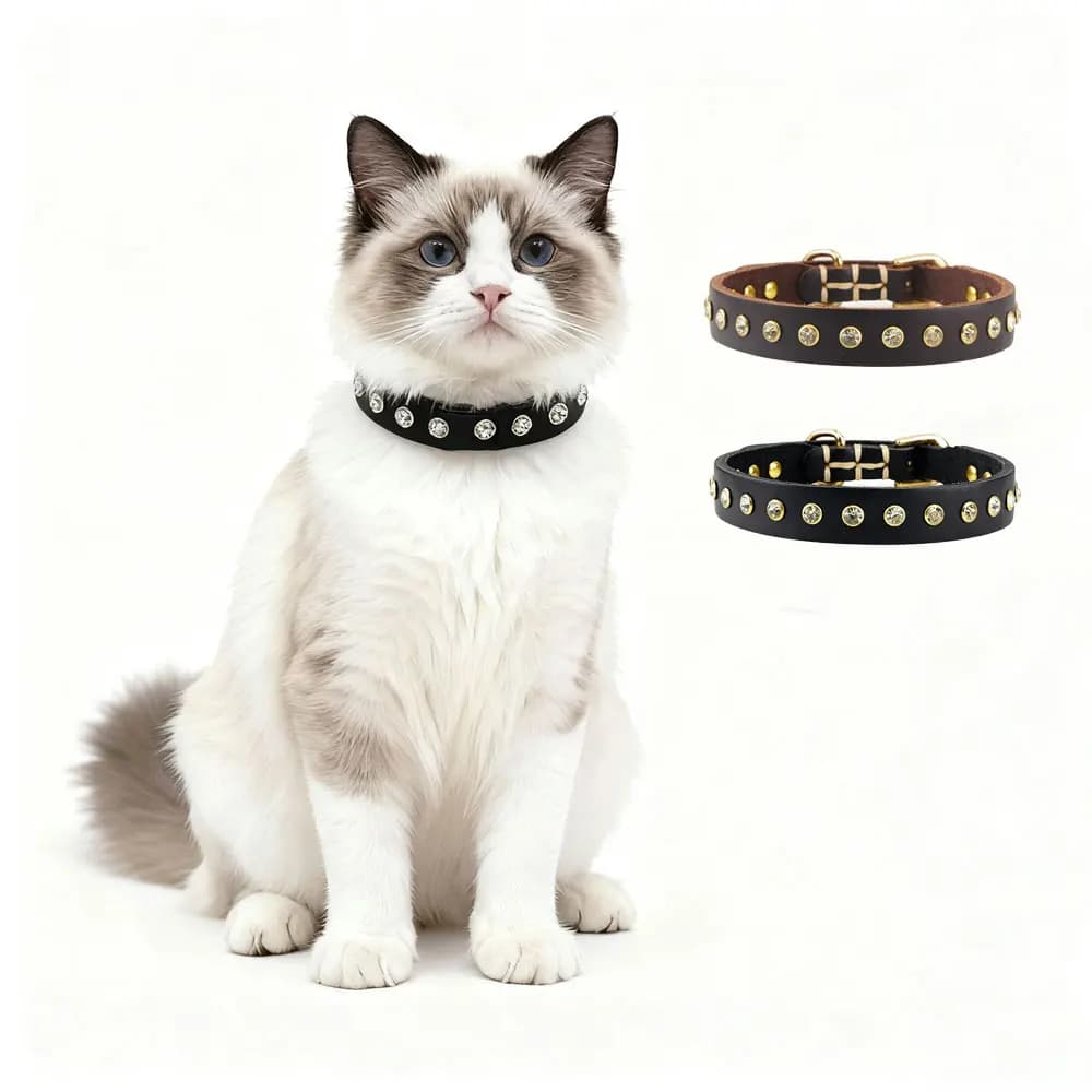 Collare per cani e gatti in vera pelle Treccia di diamanti Accessori per animali domestici regolabili resistenti all'usura Forniture per passeggiate per addestramento da viaggio all'aperto