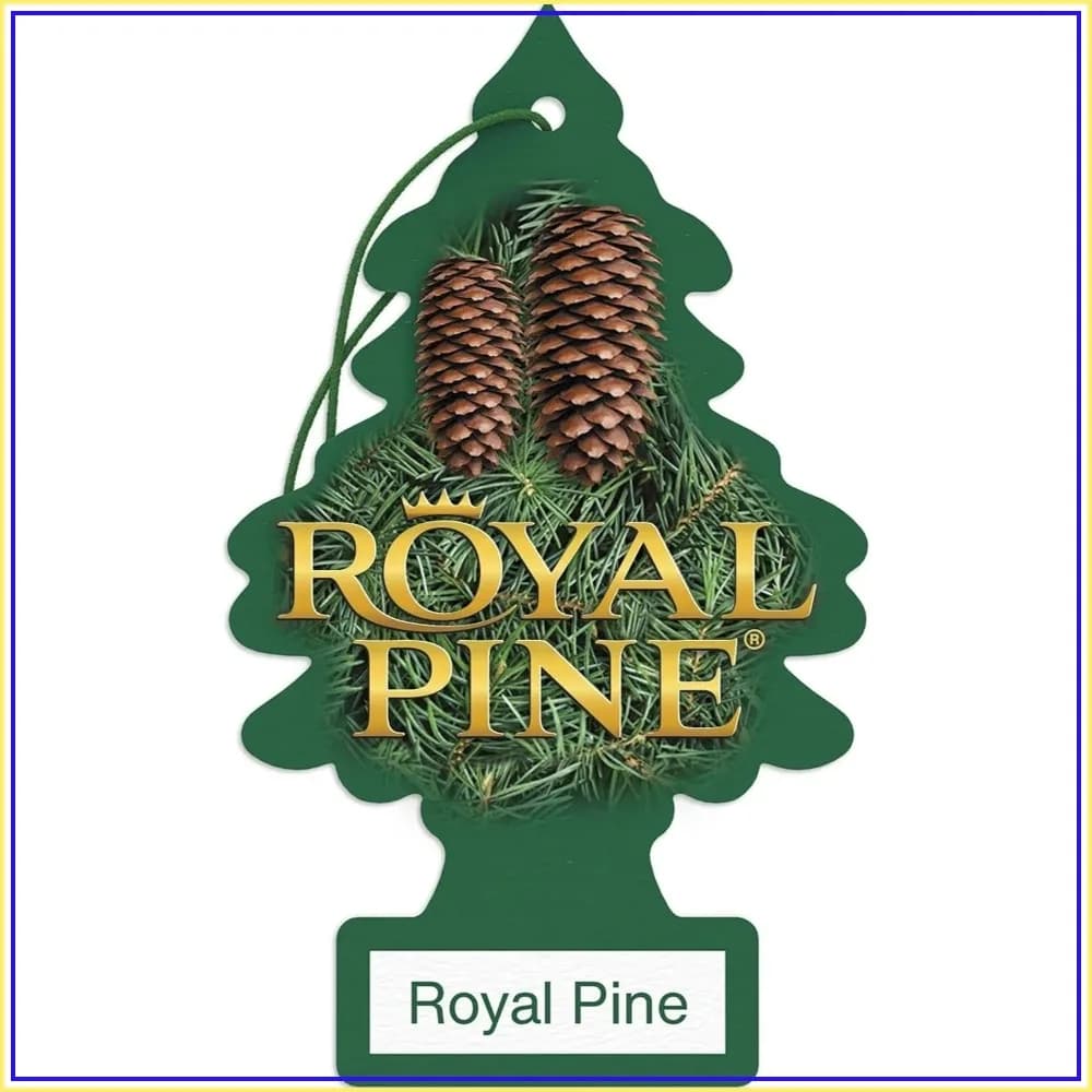 Royal Pine Car Air Freshener | Hanging Paper Tree for Home or Car | 6 Pack