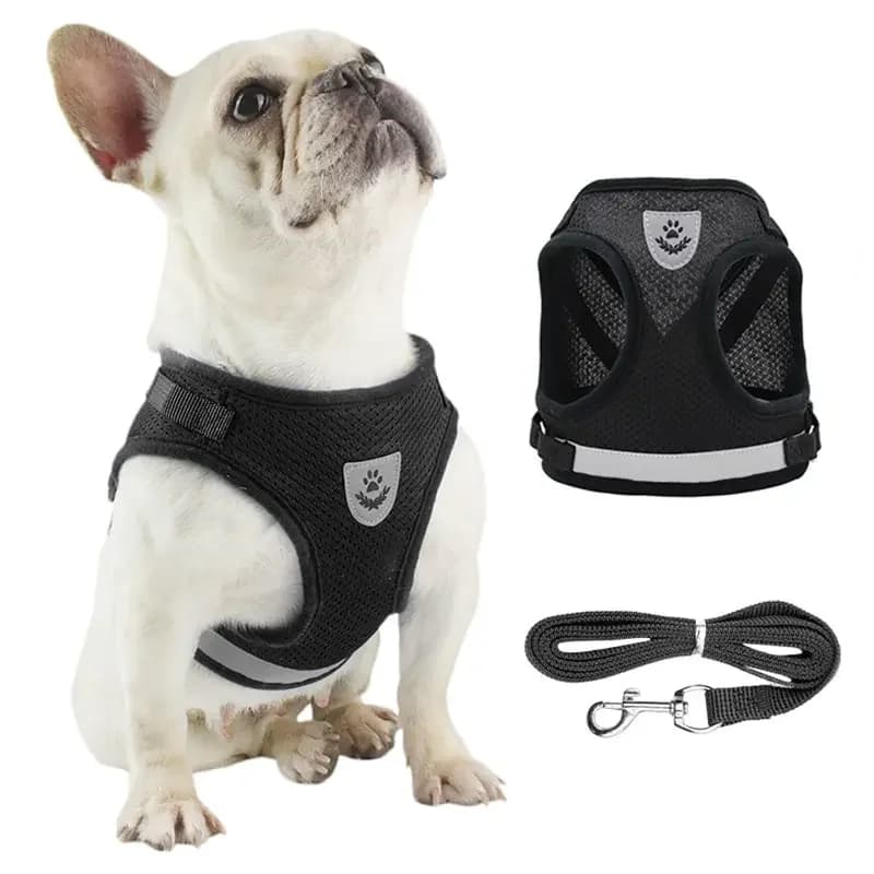 Maglietta per cani Guinzaglio Canottiera Imbracature Mesh Traspirante Regolabile Facile controllo Canottiera riflettente Collare per imbracatura per cani