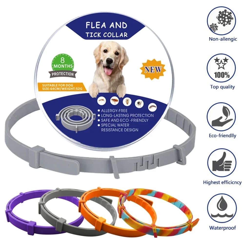 Collare antipulci e zecche Collare per cani regolabile Collana per gatti Protezione da 8 mesi Anti-zanzare Corgi Teddy Forniture per la prevenzione degli insetti