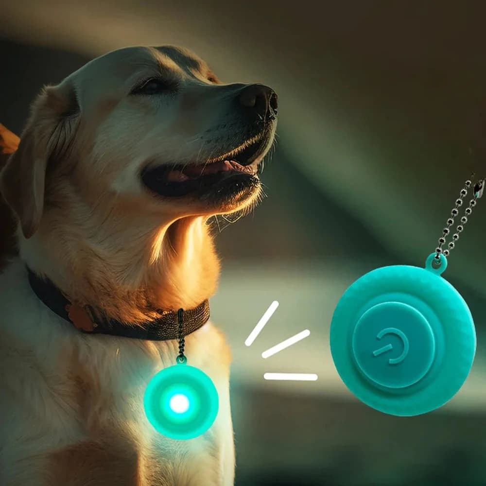 Collare con ciondolo per animali domestici a LED Collana in silicone impermeabile per cani e gatti luminosi per collari di sicurezza notturni per passeggiate all'aperto Accessori per animali domestici