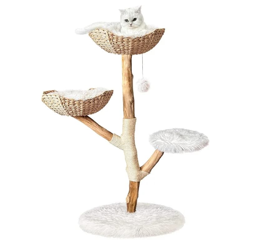 Luxury Modern Customized Heavy-Duty Wooden Cat Tree Unique With Real Wood Branches For Cats & Dogs
