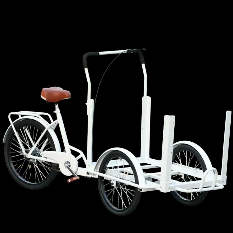 Specializzati nella produzione di biciclette a 3 ruote per adulti, biciclette, ristoranti mobili e veicoli per snack con retromarcia.