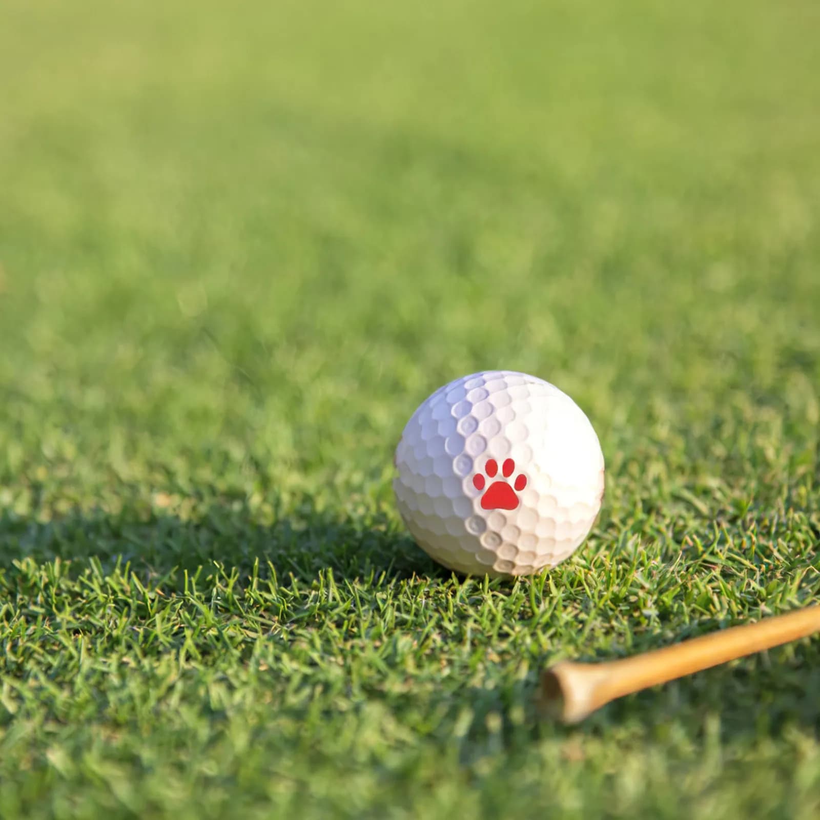 Timbro per Palline da Golf a Forma di Zampa di Gatto, Rosso 57 PP, Leggero, Portatile, Riutilizzabile, Asciugatura Rapida, Sigillo per Ufficio, Design Unico ed Elegante
