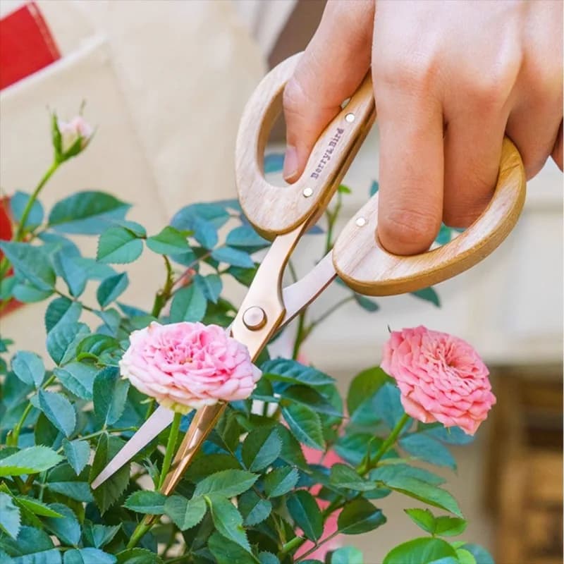Stainless Steel Pruning Shears Household Floral Pruning Scissors Professional Flower Arrangement Garden Trimming Gardening Tools