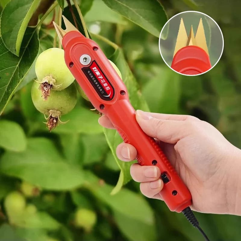 New fruit trees Flower thinning Special pruning scissors for fruit spread Portable shears for fruit and flowers