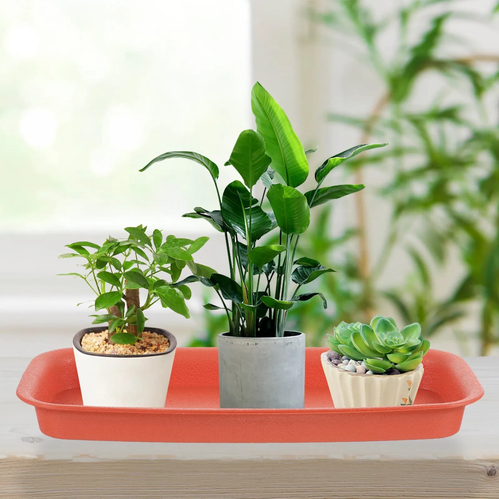 6Pcs Rectangular Plant Drip Tray Plastic Saucer Spill-Proof Planter Base for Indoor Flower Pots Windowsill Seed Starting Growing