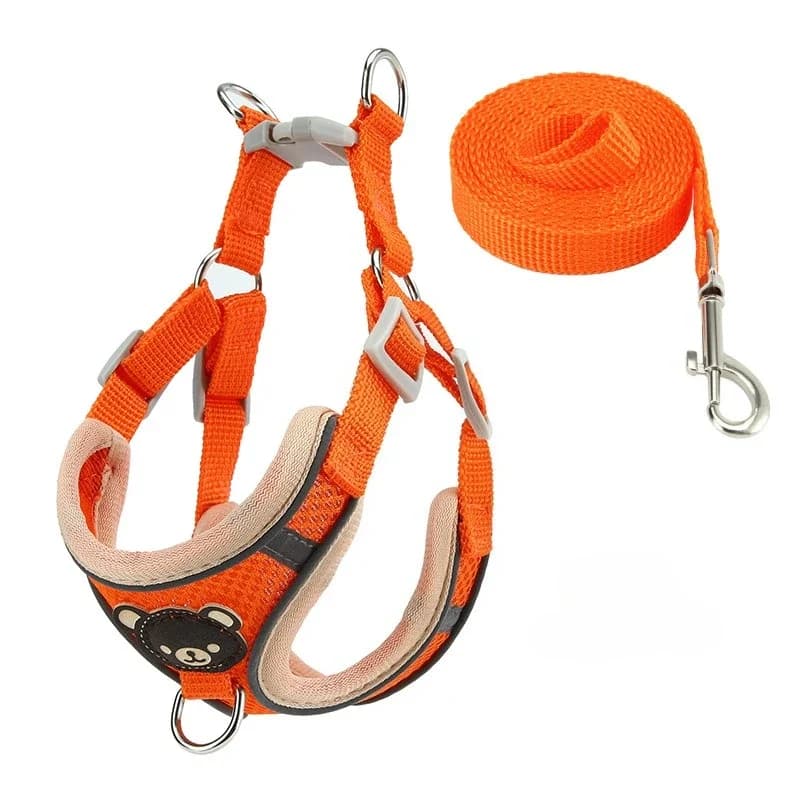 Set Pettorina Regolabile per Cani con Guinzaglio, Collare e Pettorina in Rete Traspirante