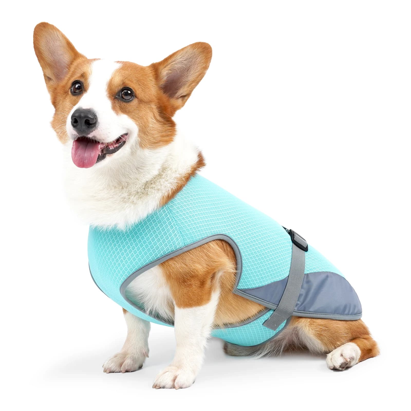Gilet rinfrescante - Gilet traspirante per cani per i giorni estivi caldi - Giacca rinfrescante regolabile e leggera con strisce riflettenti