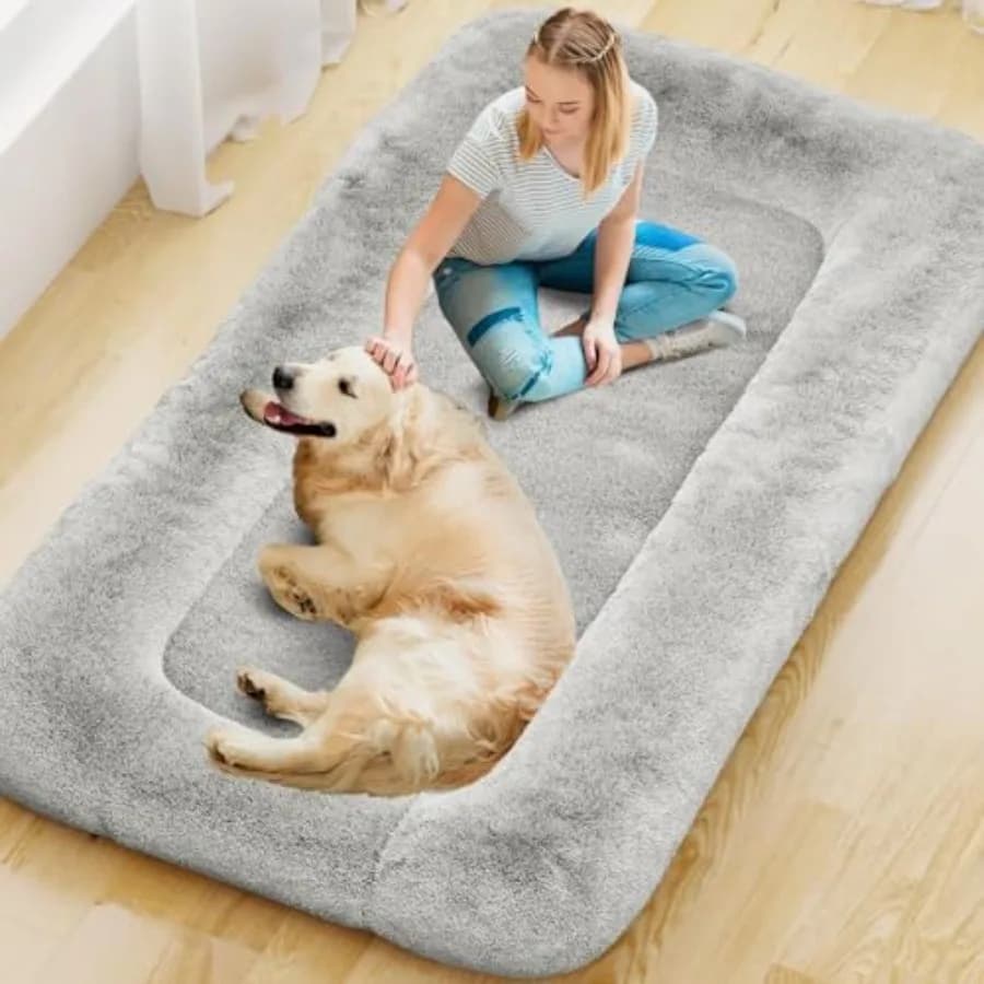 Letto per Umani e Cani: Cuscino in Schiuma Lavabile di Grandi Dimensioni 79x45x12 per Adulti, Grigio Chiaro