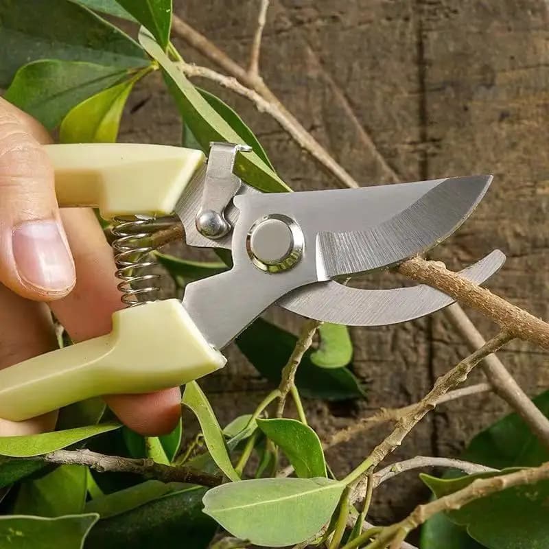 Potenti cesoie da potatura in acciaio inossidabile, pietra per affilare portatile da esterno, affilacoltelli manuale, cesoie specializzate per rami