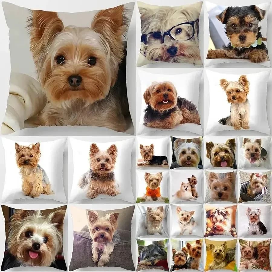 VIKAMA Decorative Armoured Armoured Shelves Printing, Yorkshire Beagle, Decorative Car Bearing