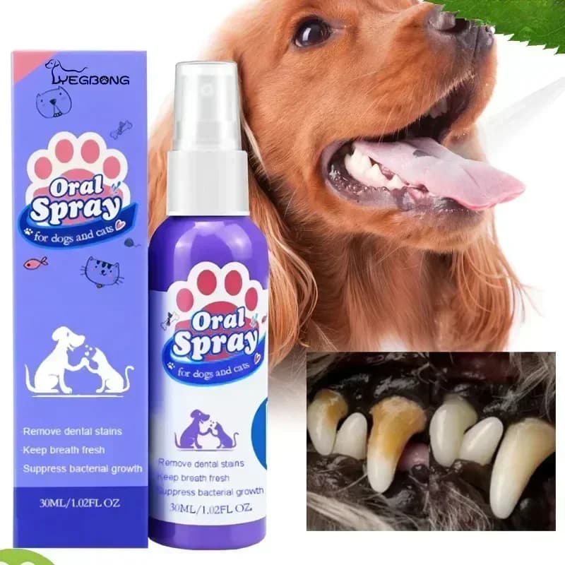Spray per la pulizia dei denti degli animali domestici, cura orale, rimuove le macchie sui denti, mantiene l'alito fresco per cani e gatti, sbiancante, elimina l'alito cattivo