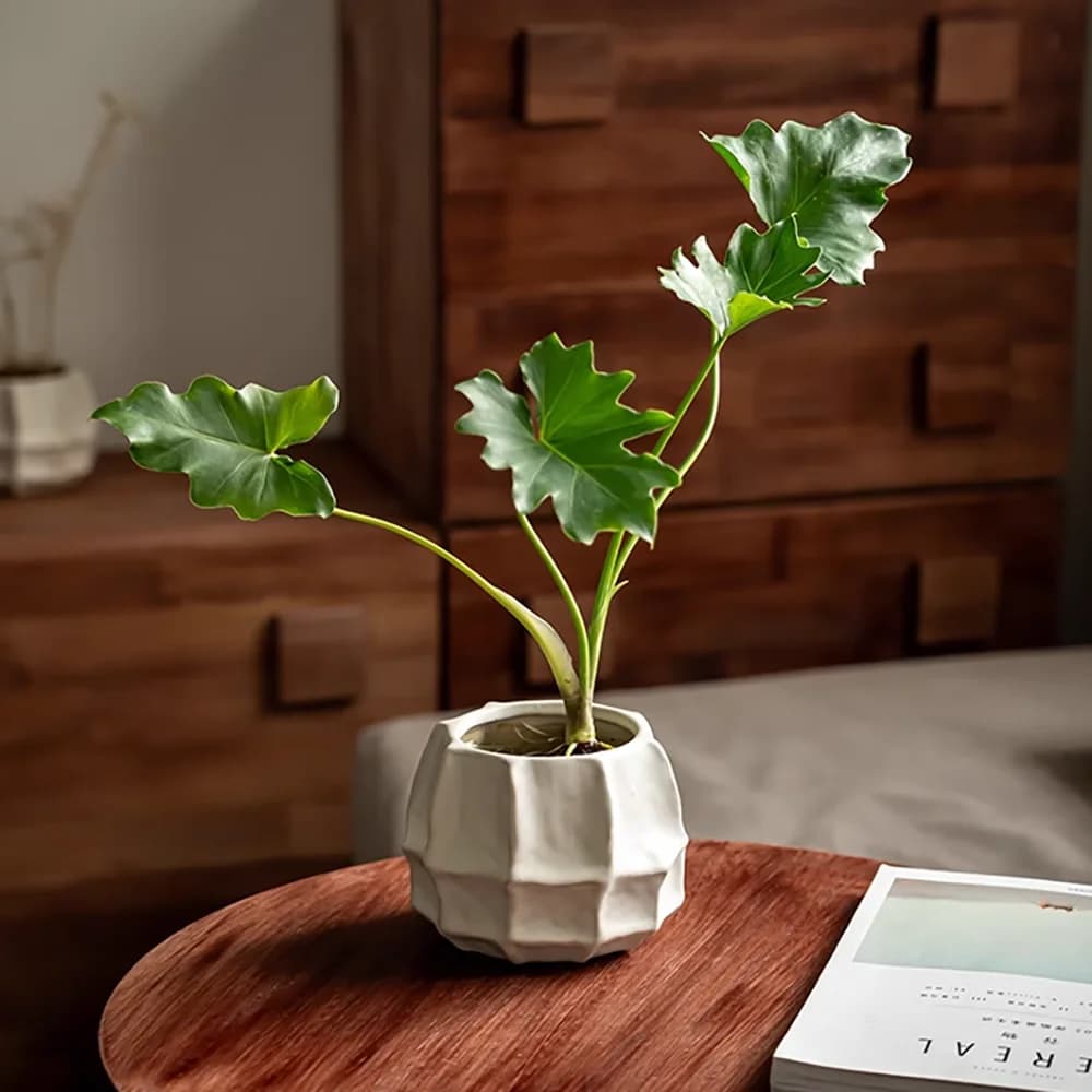 Stampo in silicone per fioriera in cemento, stampo per vaso di fiori succulente per cemento in gesso, artigianato per decorazioni per il giardino domestico fai da te, stampi per vasi
