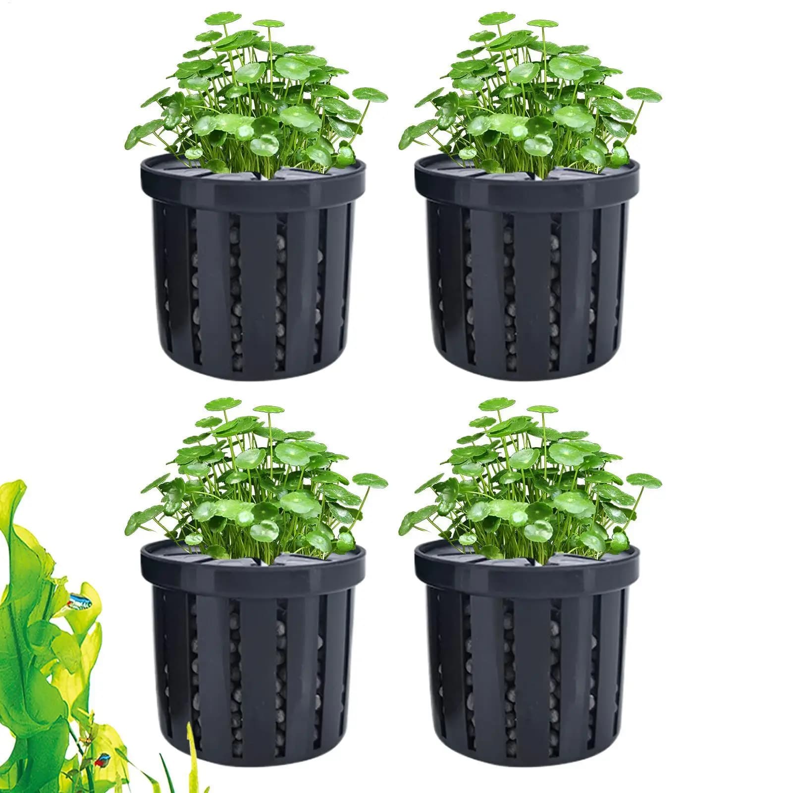 Set di 4 Vasi per Acquario con Spugna e Ventose, Autosommergibili, per Piante in Acquario Domestico