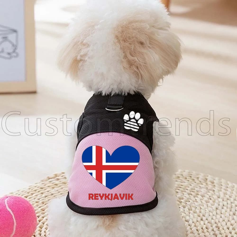 Pettorina a rete per cani e gatti con bandiera di Reykjavik, abbigliamento per gattini, gilet estivo primaverile con zampa carina e anello a D per guinzaglio