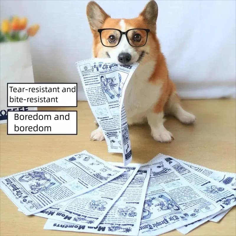 Giocattolo Interattivo per Cani Antistrappo a Forma di Giornale e Carte da Gioco, Resistente ai Morsi, per Corgi, Teddy, Cuccioli GWJ31