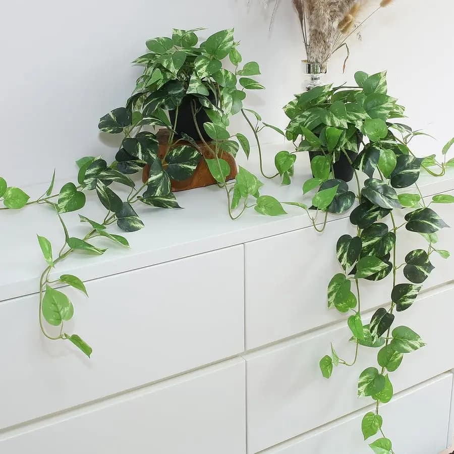 Pothos Pendant Plants, 33 Set with 2 Vases, Artificial Silk Tree, Realistic Sheets for Interior, Home, Office, Bathroom