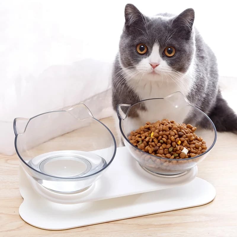 Ciotola doppia antiscivolo per gatti, ciotola per acqua e cibo per animali domestici, ciotola per cani con supporto inclinato, ciotola per alimentazione gatti