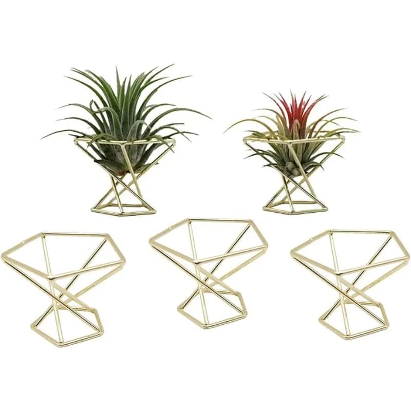 Set di 5 Supporti Geometrici per Piante Aeree, Espositori in Metallo per Piante, Scaffali per Fioriere, Decorazioni Himmeli, Contenitori per Tillandsia