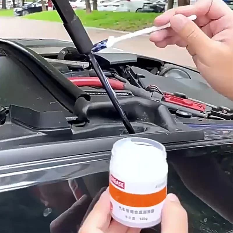 Lubrificante in pasta da 100 g per serrature per porte del tetto apribile dell'auto Cerniere Manutenzione dei binari della catena Amagi resistente alle alte temperature a base vegetale