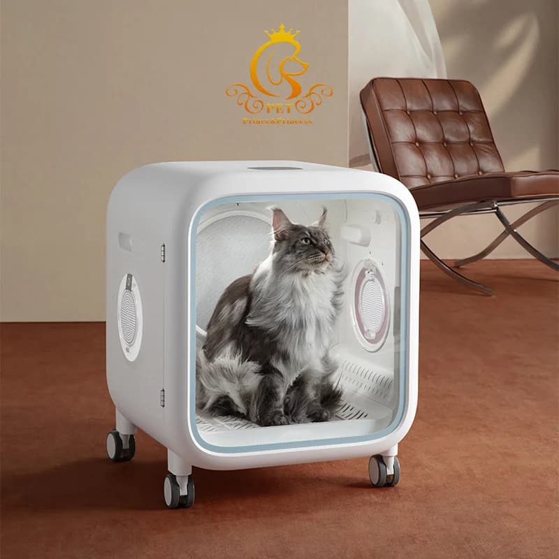 Asciugatore Professionale Automatico Intelligente per Peli di Animali Domestici, Box Asciugatura Sostenibile in Plastica con Alimentazione a Batteria per Cani e Gatti