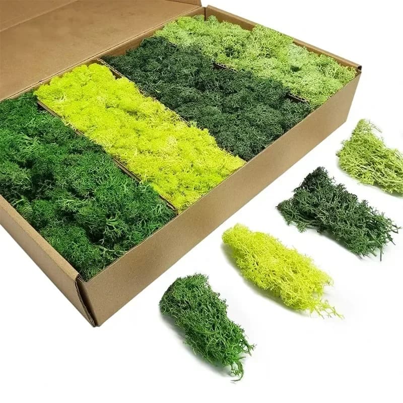 10/50g Piante verdi artificiali Vita eterna Muschio Artigianato fai-da-te Erba Giardino Home Room Decor Mini Paesaggio Erba finta Piante finte