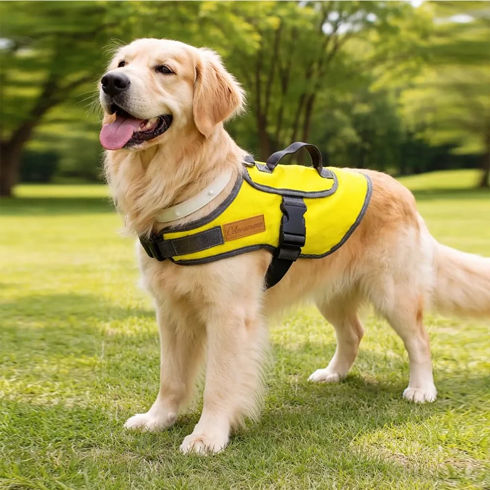 Pet Harness Portable Handle Vest Style Breathable Adjustable Outdoor Dog Walking Anti Lost Medium Small Dogs Universal