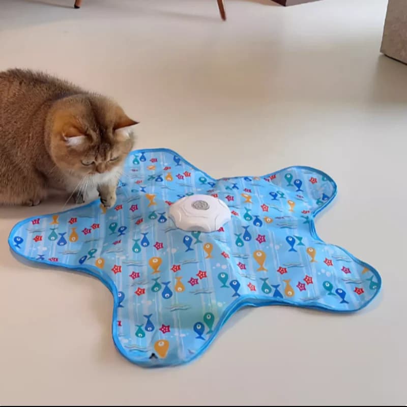 Cat Toys Interactive Toy for Cats Hide Mouse Sketch Movement Hidden Feet in Motion Toy teaser for Kittens