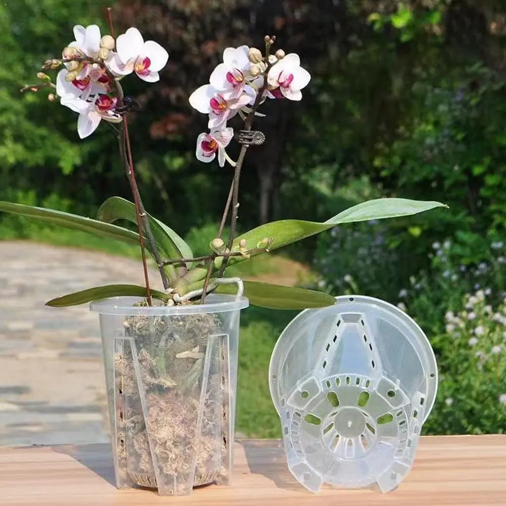Vaso per Fiori Trasparente in Plastica con Controllo Radicale, Traspirante con Stomata, Bellissimi Vasi per Orchidee Phalaenopsis