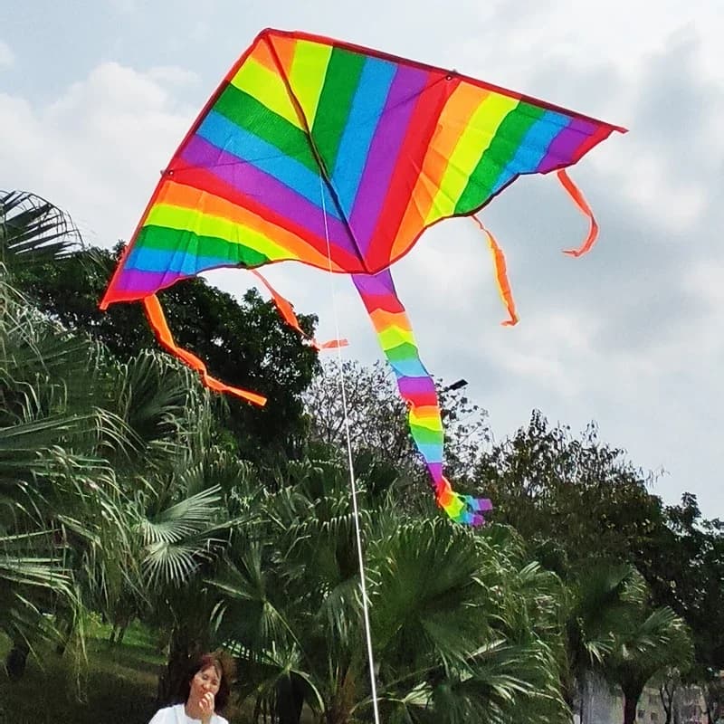 Easy Fly Colored Rainbow Aquilone Outdoor Fun Sport Beach Children Buitenspeelgoed Cometas De Viento Outdoor Toys Aquiloni