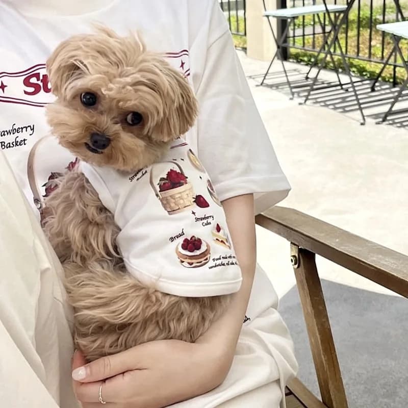 Maglietta Estiva Sottile per Cani Teddy Ice Cream, T-shirt Senza Maniche per Bichon Frise, Abbigliamento Cartoon per Cani XS-XL