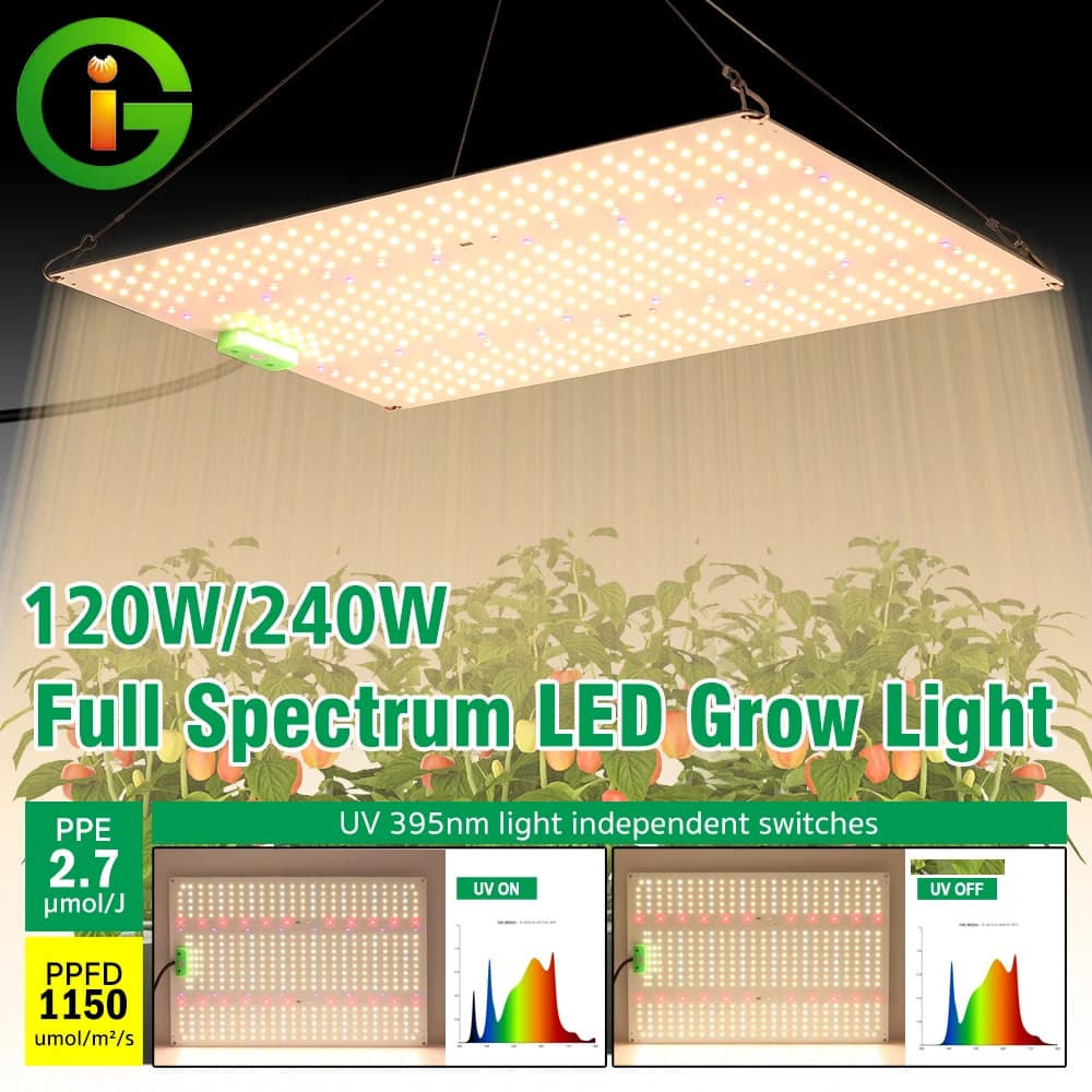 Lampada LED per coltivazione LM281B Quantum Board 120W 240W a spettro completo per serre, semi di fiori, piantine e piante in crescita