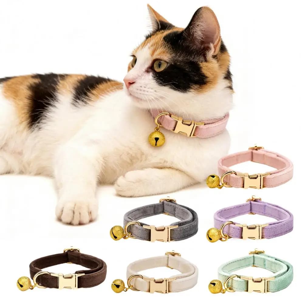Collare Regolabile per Gatti, Collare Morbido per Animali Domestici con Campanello Rimovibile, Collare Monocolore per Cani Piccoli, Gatti e Gattini, per Passeggiate all'Aperto e Sicurezza