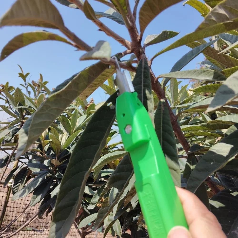 Attrezzo Manuale per la Raccolta delle Bacche, Forbici Ergonomiche Anti-Perforazione per Potatura, Cesoie Robuste con Impugnatura Antiscivolo per la Raccolta della Frutta in Giardino