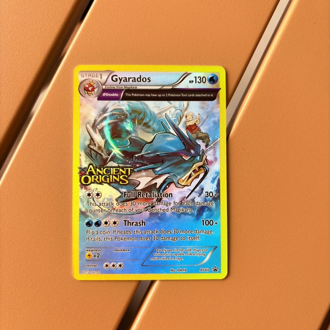 PTCG Gyarados-Holo Series Inglese 2015 XY60 AOR Prerelerse DIY Refrazione R Flash Card Animazione Gioco Carte Collezionabili Giocattolo Regalo