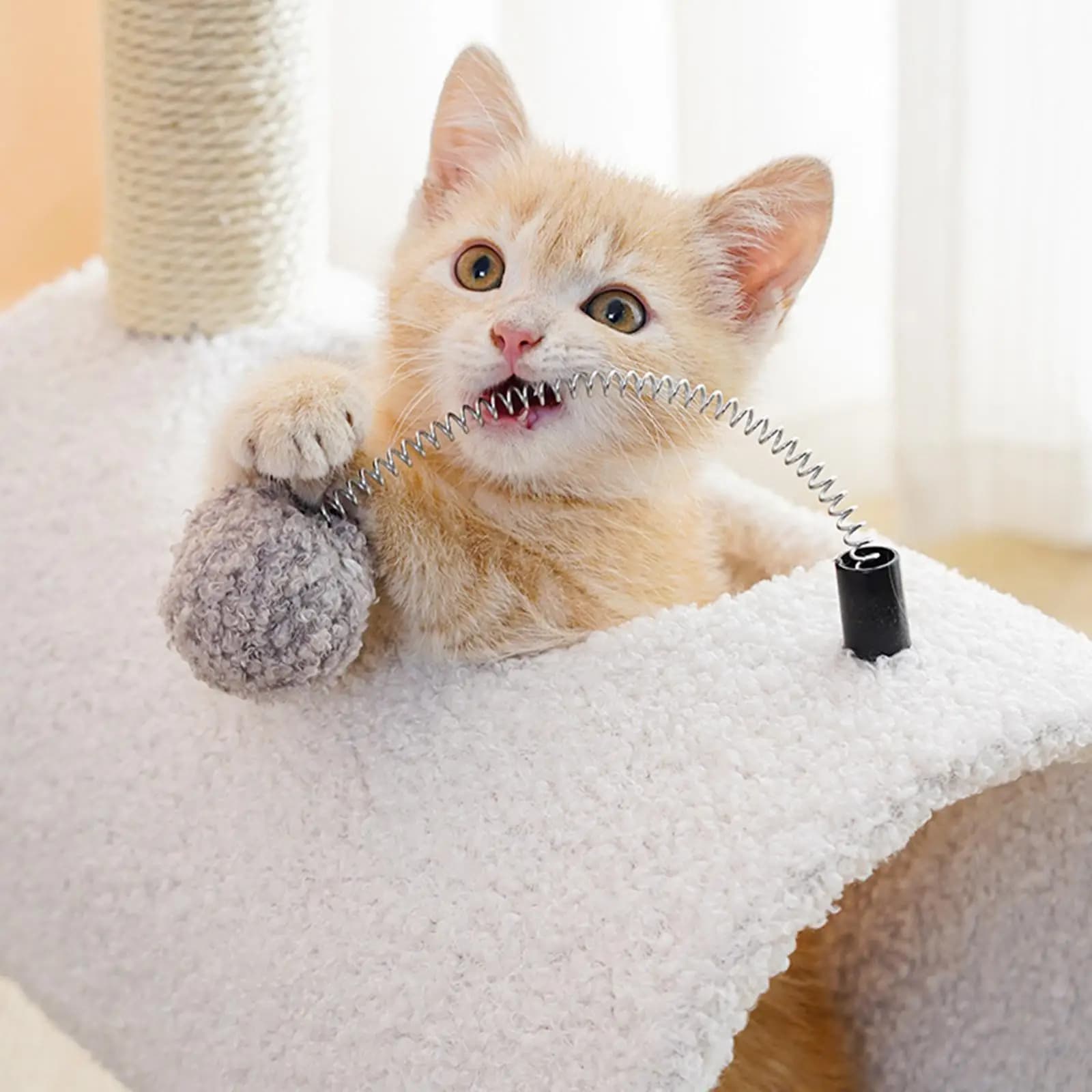 Scratcher Tree Cat Scratching Post Tunnels Tube Carpets Sofa Protector Animal