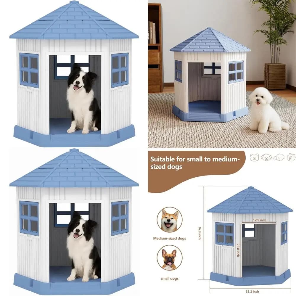 Cuccia per cani da esterno grande e resistente con finestra e pavimento rialzato per cani di taglia piccola e media - Blu (34,8 x 30,51 x 36,89)