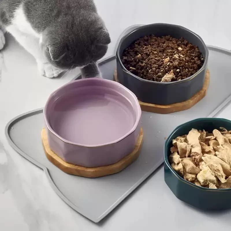 Silicone Pet Feeding Dog Cat Bowl Food Mat Feeding Pad Puppy Feeder Tray Water Cushion Non-Stick Waterproof Pet Food