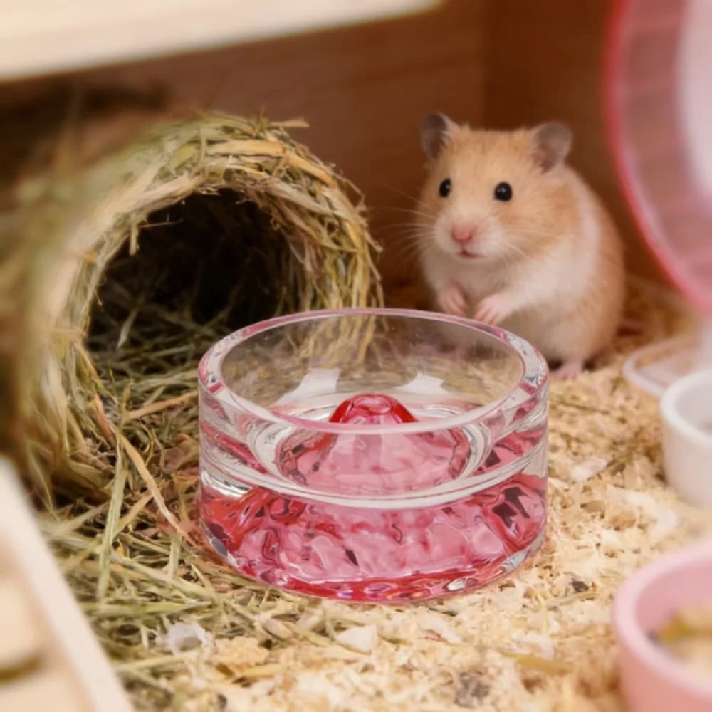 INS Mountain Raised Crystal Glass Hamster Feeding Bowl Transparent Mini Hamster Food Bowl Anti-tip Pet Watering Bowl Cat