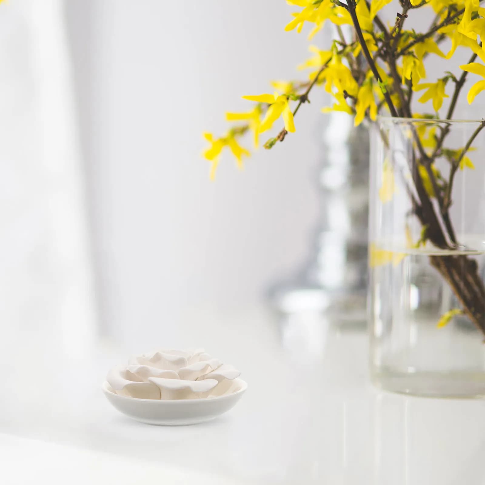 Portable Essential Oil Stone Diffuser Flower Shape Aromatherapy Perfume Fragrance Home Car Bedroom Bathroom Desk Decor