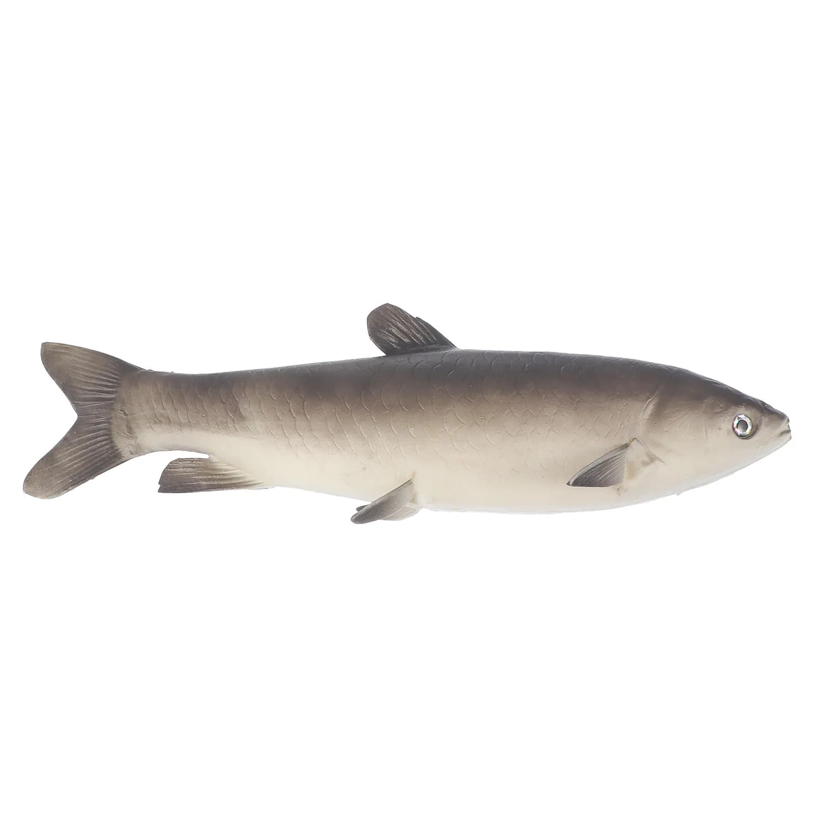 1 Pezzo Pesce Artificiale Realistico, Giocattolo Decorativo Educativo, Ornamento da Scrivania, Regalo per Bambini