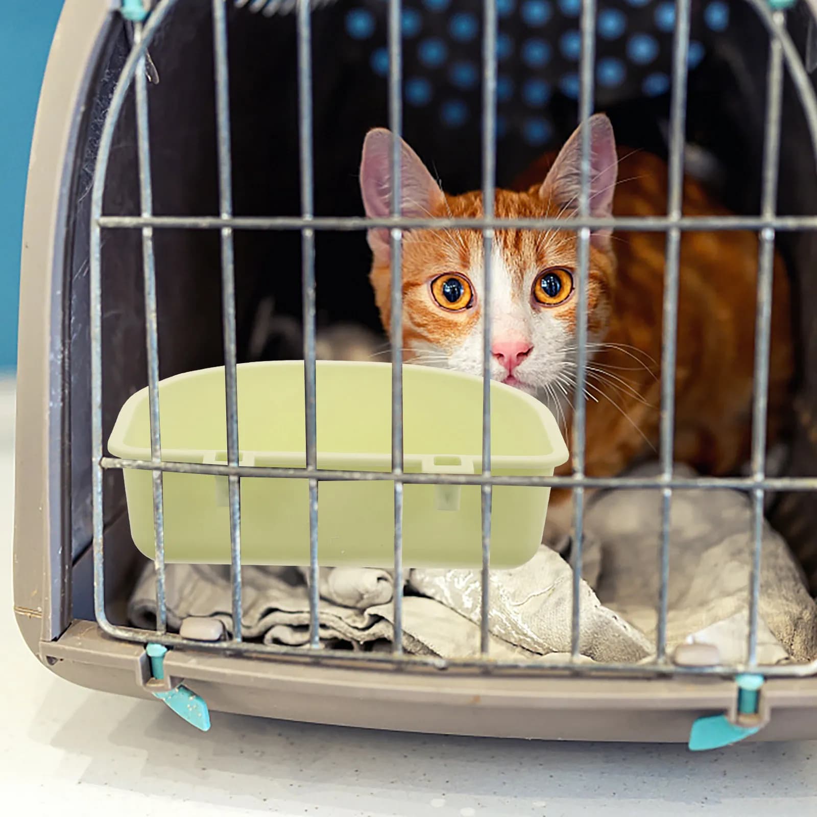 Ciotola Sospesa per Cani e Gatti, in Plastica Resistente, Staccabile, per Alimenti e Acqua, Montabile su Gabbia, Facile da Pulire, Riutilizzabile